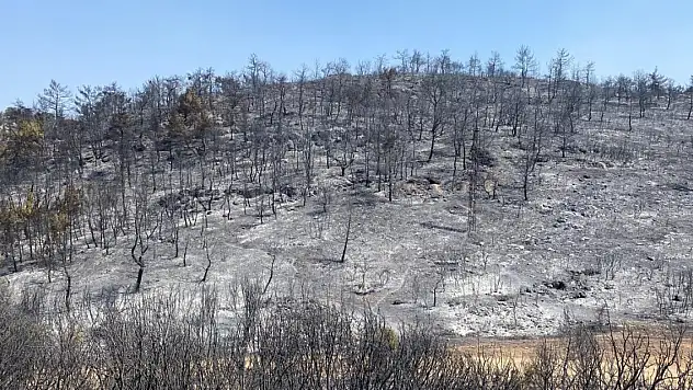 Manisa'daki orman yangını 6'ncı gününde