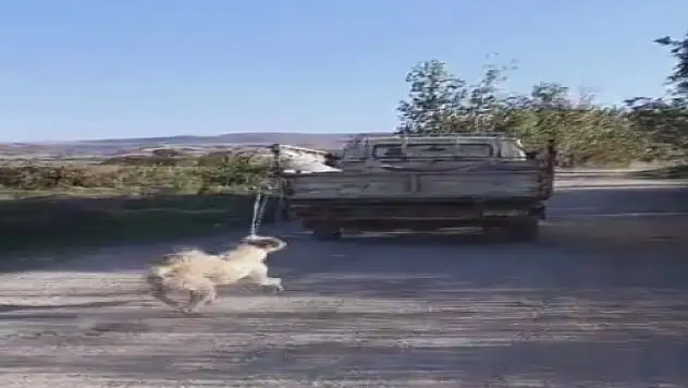 Köpeğini kamyonetin arkasına bağlayıp, sürükledi