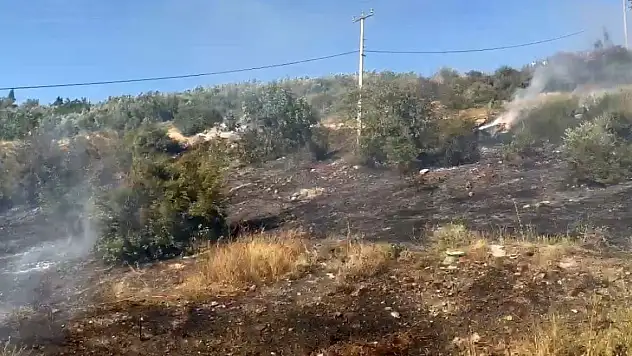 Bursa'da çıkan yangın ormanlık alana sıçramadan söndürüldü