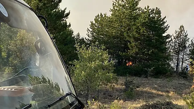 Türkiye'nin ormanları yanıyor