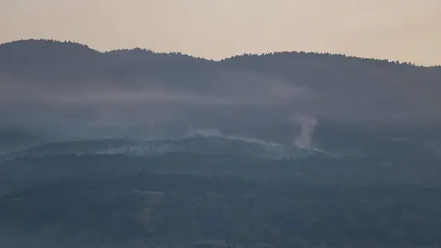 Çankırı'daki orman yangını kontrol altına alındı 44 hektar alan zarar gördü