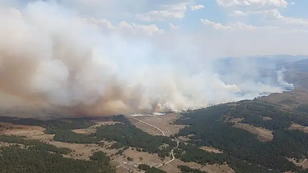 Ankara'daki yangın Bolu'ya sıçradı