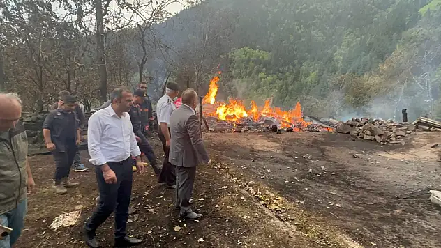 Artvin'de 3 ahşap ev yangında küle döndü