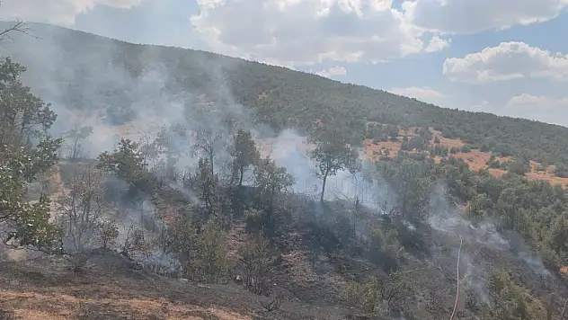 Bingöl'de orman yangını 2 saatte söndürüldü