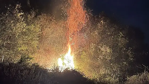 Tokat'ta çıkan orman yangını söndürüldü
