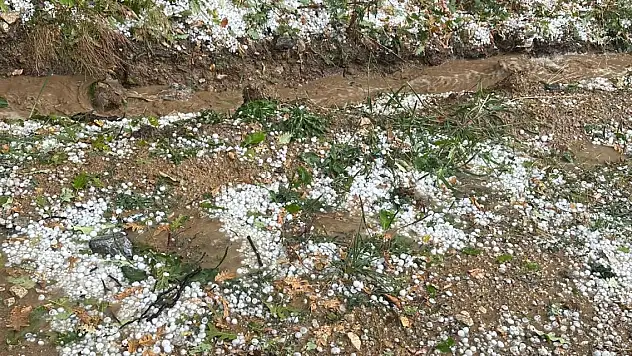Bursa'da sağanak ve dolu ekinler zarar gördü
