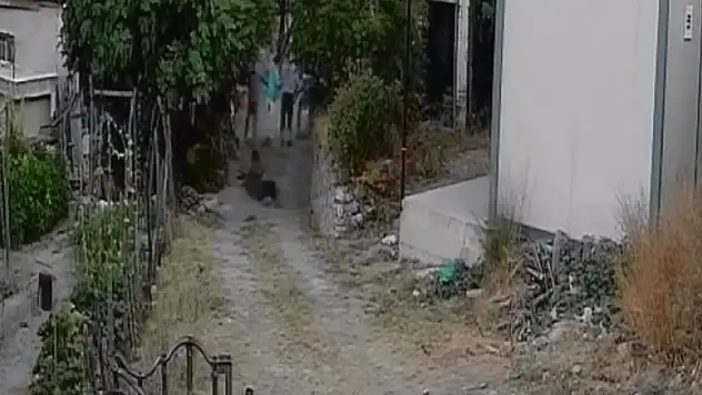 Bahçesine giren sürünün çobanını öldürdü