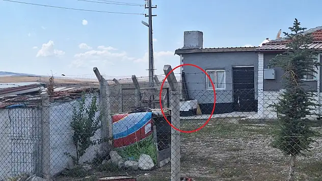 Tandıra düşen 13 aylık bebek, hayatını kaybetti