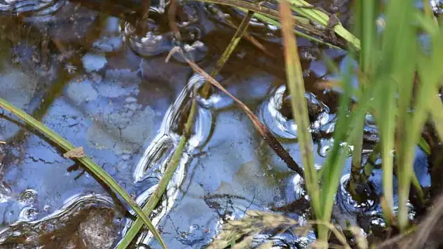 İki ilde daha petrol heyecanı!
