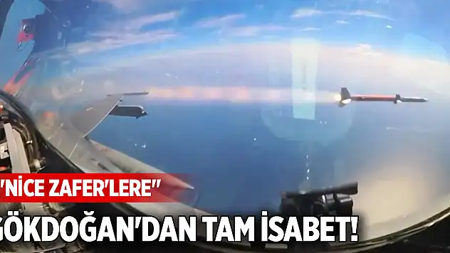 Gökdoğan'dan tam isabet! 'Nice ZAFER'lere'