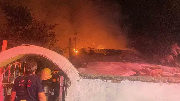 Kocaeli'de korkutan yangın: 3 ev alevlere teslim oldu