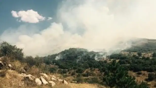 Kızılcahamam'da yangın