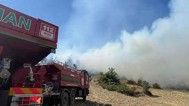 Kahramanmaraş'ta orman yangını