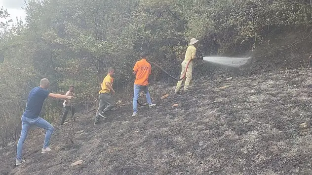 Bartın'da orman yangını