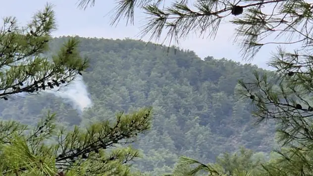 Orman yangınları meydana geldi