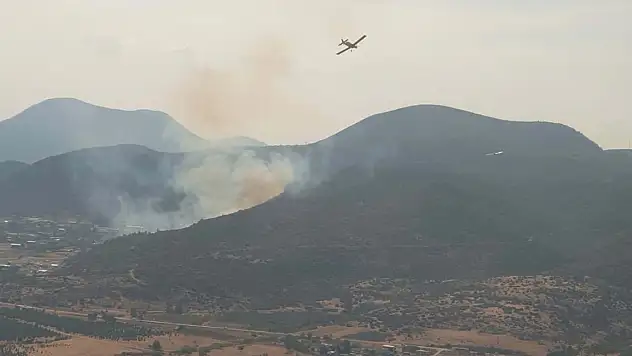 İzmir'de orman yangını