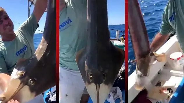 'İnsan yüzlü' balık oltaya takıldı