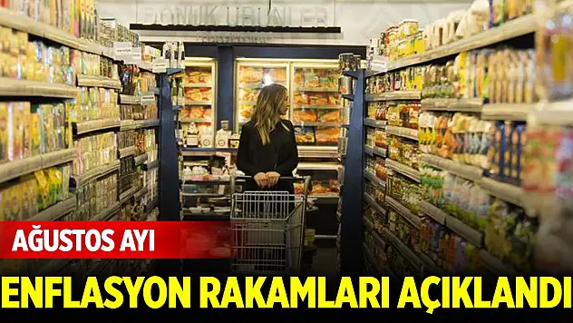 Son Dakika! Ağustos ayı enflasyon rakamları açıklandı