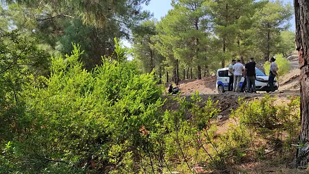 Muğla'da ormanda terk edilmiş bebek bulundu