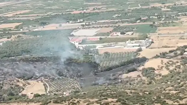 İzmir Menemen'de orman yangını