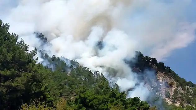 Antalya'da orman yangını! Ekipler müdahale ediyor
