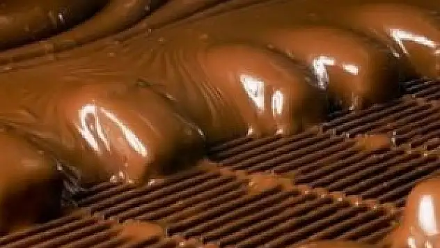 Çikolatalardaki böcek oranlarını açıkladılar!