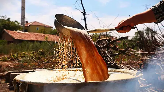 Üzümün asmadan pekmez yolculuğu