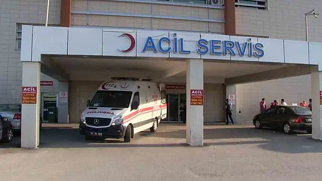 Elma ağacından düşen kişi hayatını kaybetti