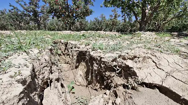 Elma bahçesinde oluşan 100 metrelik yarık korkuttu