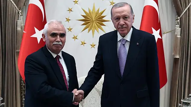 Cumhurbaşkanı Erdoğan AYM Başkanı Kadir Özkaya'yı kabul etti