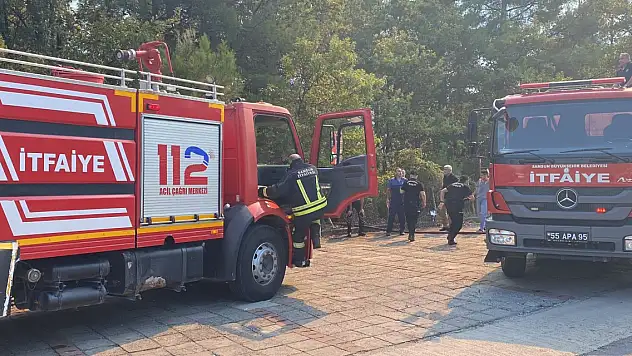 Samsun'da hastane yakınında orman yangını