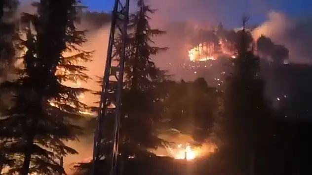 Kahramanmaraş'ta orman yangını