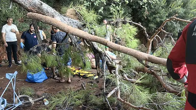 Muğla'da kuvvetli rüzgarda ağaç devrildi: 3 yaralı