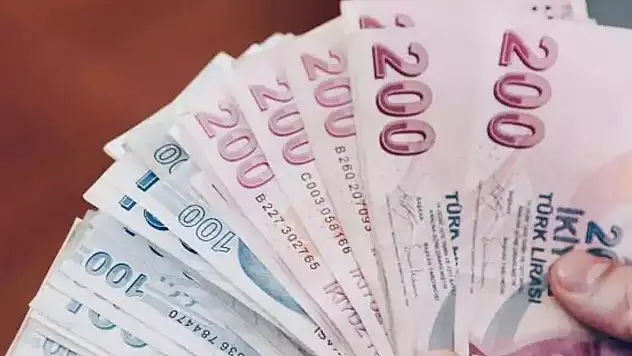 Alman devinden Türkiye açıklaması