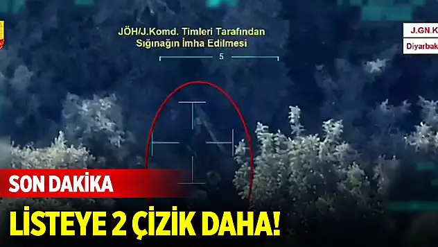 Kırmızı ve gri kategoride aranan 2 terörist etkisiz hale getirildi