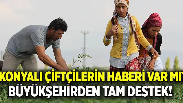 Konyalı çiftçilerin haberi var mı? Büyükşehirden tam destek var