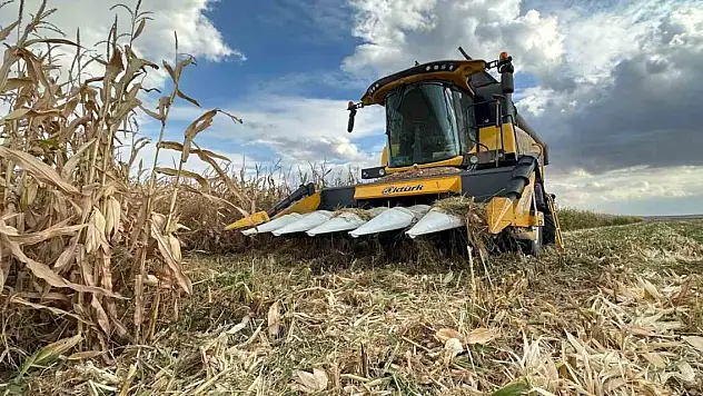 Konya'nın ilçesinde mısır hasadı başladı