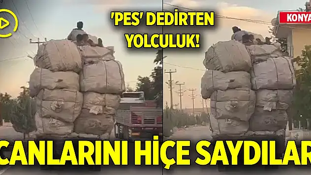 Konya'da 'pes' dedirten yolculuk! Canlarını hiçe saydılar