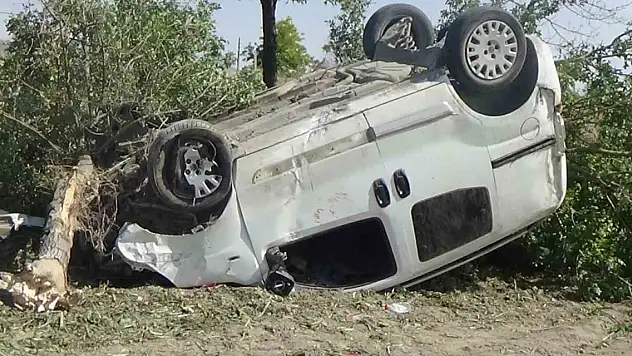 Konya'da hafif ticari araç ağaçlara çarptı: 1 yaralı