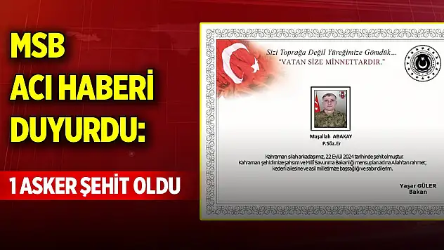 MSB acı haberi duyurdu: 1 asker şehit oldu
