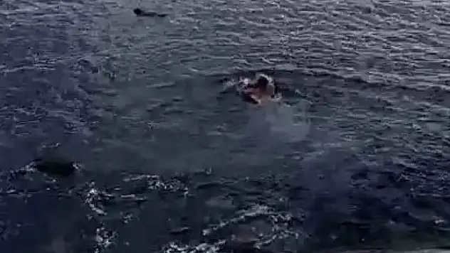 Denize düşen kadın son anda kurtarıldı