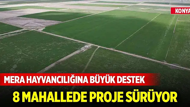 Konya'da mera hayvancılığına büyük destek