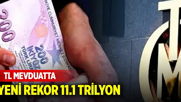 TL mevduatta yeni rekor 11.1 trilyon