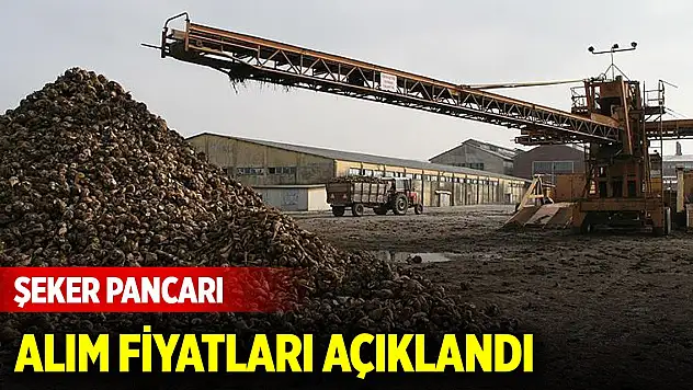 Şeker pancarı alım fiyatları açıklandı