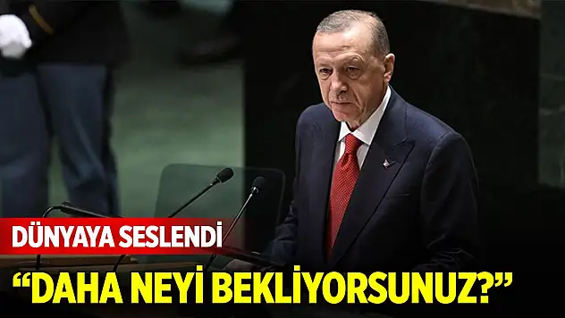 Son Dakika! Cumhurbaşkanı Erdoğan dünyaya seslendi: Daha neyi bekliyorsunuz?
