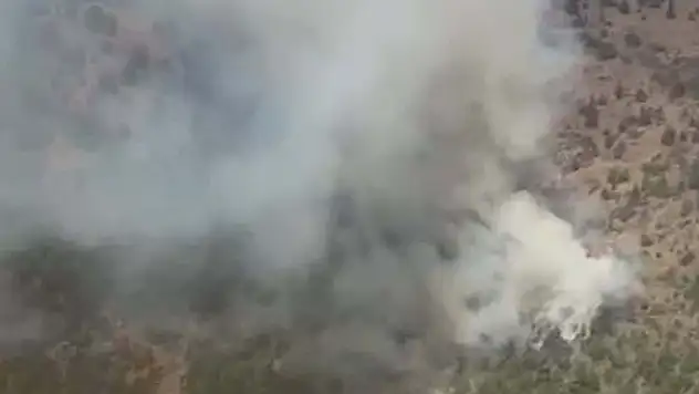 İzmir'de orman yangını! Alevlere havadan ve karadan müdahale sürüyorı