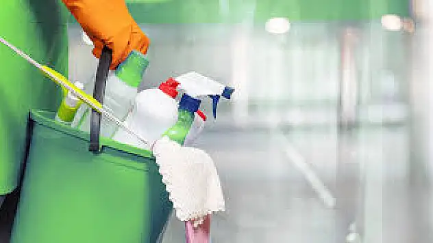 Ankara Profesyonel Ev Temizlik Şirketi Arya: Ev Temizliği Hizmetlerinde Güvenilir Çözüm