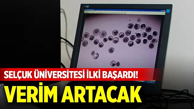 Selçuk Üniversitesi ilki başardı! Hayvancılıkta verim artışı sağlanacak