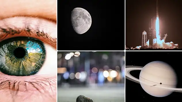 Derisi şeffaflaştırılan farelerden tarihteki ilk özel uzay yürüyüşüne eylüldeki bilimsel gelişmeler