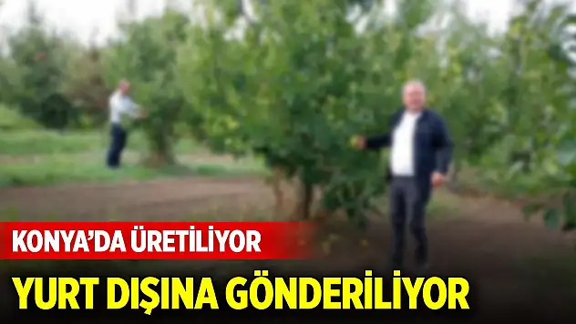 Konya'da üretiliyor, yurt dışına gönderiliyor